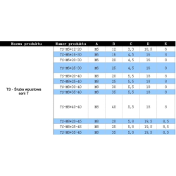 Śruba wpustowa serii T